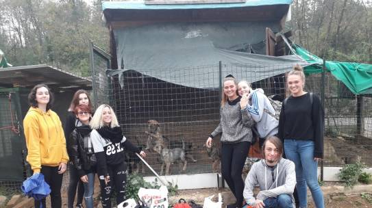 BELLA INIZIATIVA BENEFICA DEI NOSTRI ALUNNI IN OCCASIONE DELLA GIORNATA MONDIALE DEGLI ANIMALI